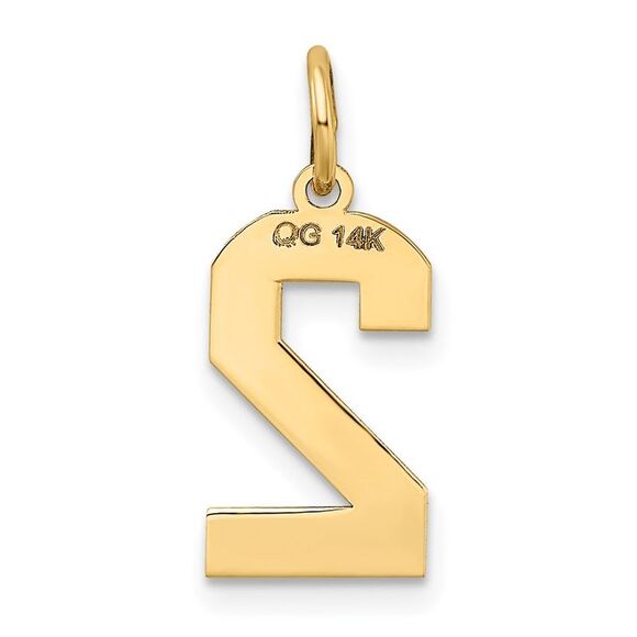 14k Yellow Gold, Jersey Collection, Medium Number 2 Pendant - Picture 3 of 5